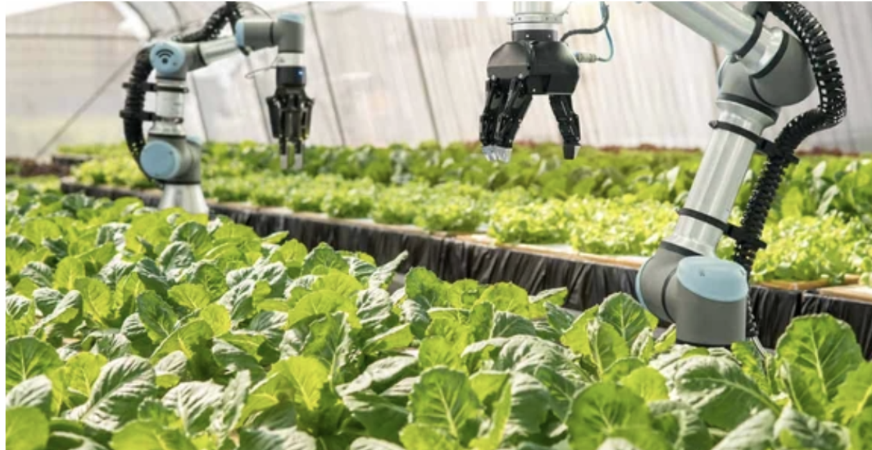 Innovations in Bearing Technology: Revolutionizing Agriculture for a Sustainable Future