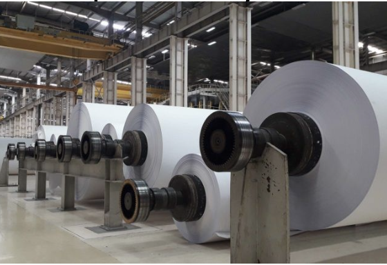 The Paper Industry: How Bearings Power Productivity and Precision